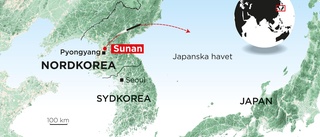 Seoul: Nordkorea avfyrade robot
