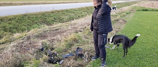 Dikesröjare demolerade Ninas robotgräsklippare