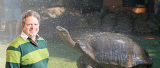 "Något äldre sköldpaddor kan få gå lite fortare"