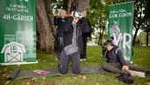 Victorias VR-extas – fick hälsa på Uppsalagårdens djur