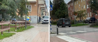 Insatsstyrka och hundpatrull i centrala Linköping