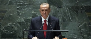 Erdogan har skickat in svenska Natoansökan till parlamentet