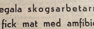 Ur PT:s arkiv: Insmugglade skogsarbetare anhölls av polisen