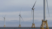 Ikea ansöker om vindkraftspark till havs
