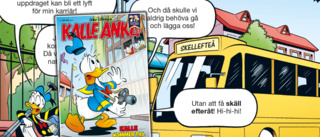 Skellefteå in a flap: But Donald Duck quacks the case