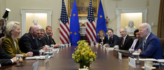 EU och USA möttes om Israel och Ukraina