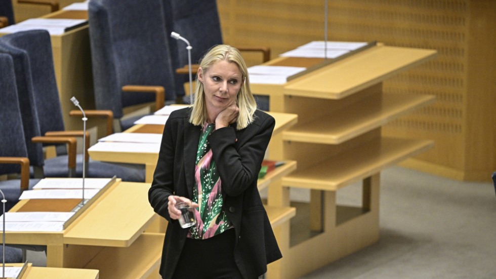 Åsa Westlund (S). Arkivbild.