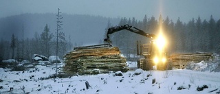 Sveaskog: Det ligger inte i vårt intresse att överavverka