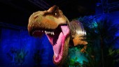 Dinosaurieutställning i lego kommer till Norrköping