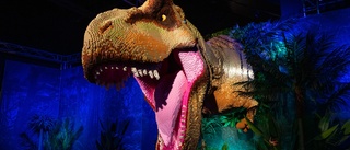 Dinosaurieutställning i lego kommer till Norrköping