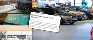 Galna rusningen hos Skellefteås bilhandlare – efter oväntade beskedet • Sålde 100 bilar på en dag: ”Historiskt”