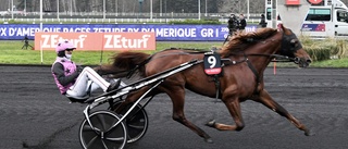 Hooker Berry vinner Prix d’Amérique: "Otroligt"