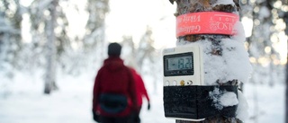 Ovanligt fynd kan rädda deras skog