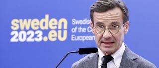 Sveriges roll: Hålla samman EU