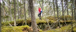 Kalmar läns skogsägare bidrar till klimatnytta