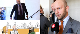 Åklagaren efter den avslutade rättegången mot Theodor Engström • ”Finns en öppning för att han kan dömas till fängelse”