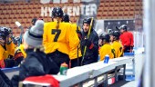 Kortsiktiga Luleå Hockey-lösningen blir kvar – säsongen ut: "Det är tur att jag har en förstående fru"