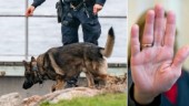 Hund lämnades in till polisen – blev genast omhändertagen av länsstyrelsen • Ägarens besked