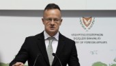 "Atomvår" i Ryssland lockar ungersk minister