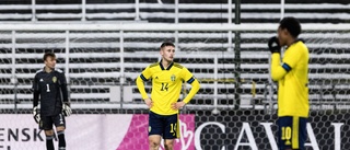 Lyckad förlust för landslaget i Norrköping – vidare i EM-kvalet