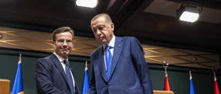 Kravlista, stoppad utlämning och Paludan – här är turerna i Natobråket med Turkiet