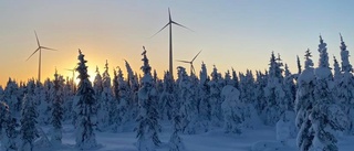 Vindkraftsvinge gick av utanför Piteå: ”Området spärrades av omedelbart” • Alla verk av samma modell stoppas