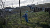 FN: Ryssland och Ukraina avrättar krigsfångar