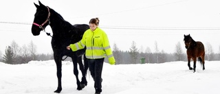 Räddaren Elina kommer ridandes på Stina