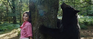 Björn hög på kokain går bärsärk i nationalpark