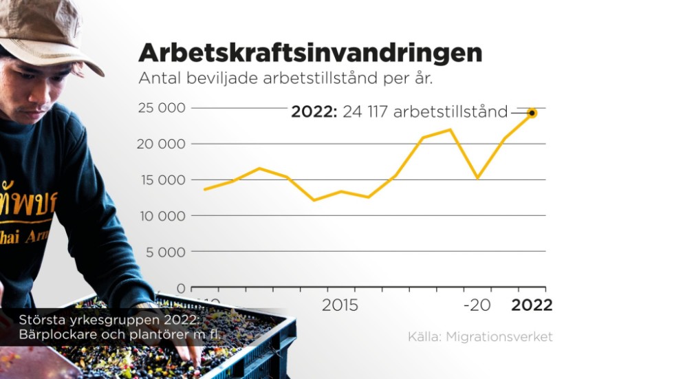 Antal beviljade arbetstillstånd per år.