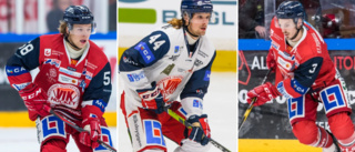 VIK:s 50 bästa spelare i Hockeyallsvenskan: plats 40-31