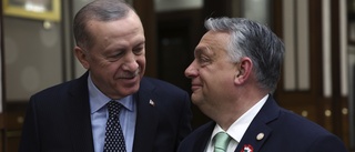 Även Putinvännen Orbán förhalar Sveriges Natointräde 