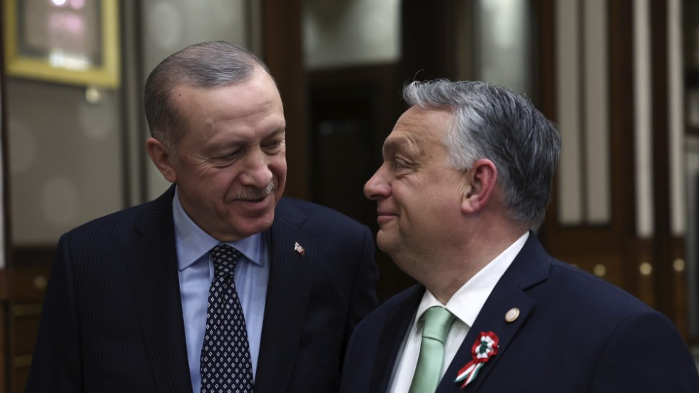 Turkiets president Recep Tayyip Erdogan i ett möte med Ungerns premiärminister Viktor Orbán för en vecka sedan. Båda länderna är nu i färd med att godkänna Finland – men ännu inte Sverige – som Natomedlem. Arkivfoto.