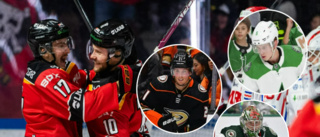 Noll från Luleå till NHL – för första gången på tio år