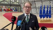 Billström vill öka trycket för Natomedlemskap