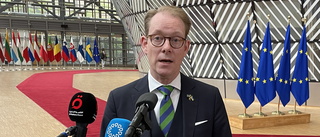 Billström vill öka trycket för Natomedlemskap