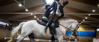 Akrobatisk hästshow i voltige-SM