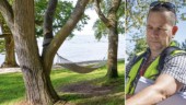Visby klassas som en av världens bästa städer för träd