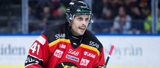 Bildspel: Se alla bilder från Luleå Hockeys hemmaseger