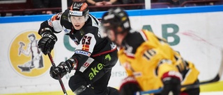 Bildspel: Luleå Hockey nollat i Malmö arena