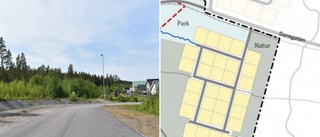 Förslag: Så skapas 78 nya villatomter i Skellefteå
