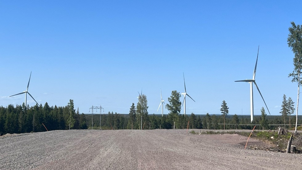Debattörerna hävdar att det snabbt behövs mer landbaserad vindkraft. 