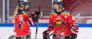 Extra: Luleå Hockey seger – i bilder