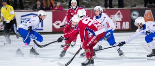 Ingen tränare tror på Kalix Bandy