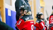 Luleå Hockey-backen: "Det är ingen fara med mig"