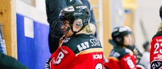 Luleå Hockey-backen: "Det är ingen fara med mig"