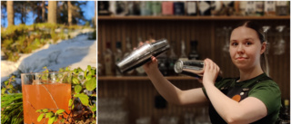 Skogsdrinken en lyckträff – Moa kan bli Årets bartender
