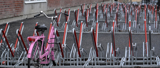 Cykelstölderna ökar i Sverige
