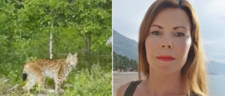 Eye to eye with a lynx – Kristina captured the magical encounter