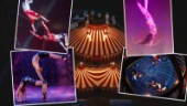 "Las Vegas-standard" circus comes to Skellefteå